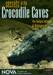 Secrets of the Crocodile Caves